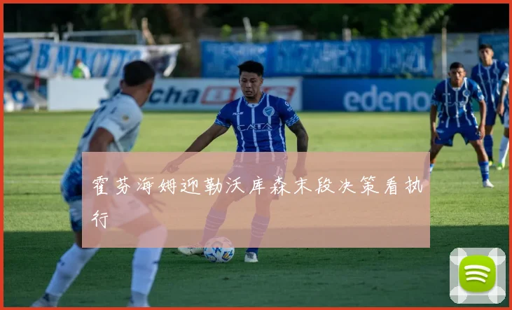 霍芬海姆迎勒沃库森末段决策看执行