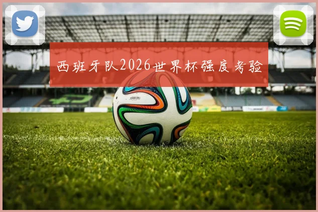 西班牙队2026世界杯强度考验