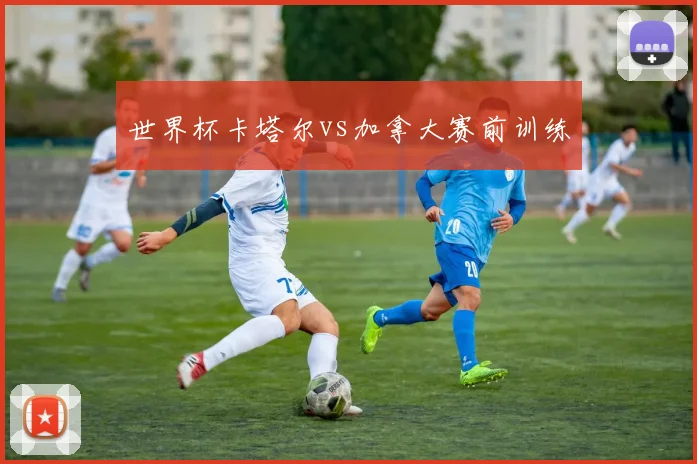 世界杯卡塔尔vs加拿大赛前训练