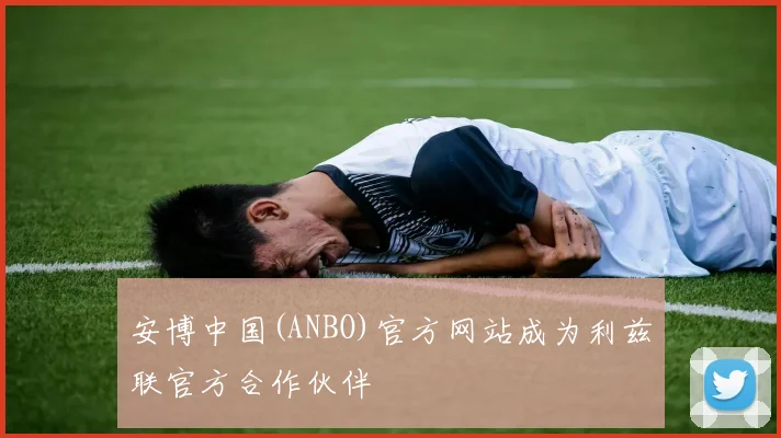 安博中国(ANBO)官方网站成为利兹联官方合作伙伴